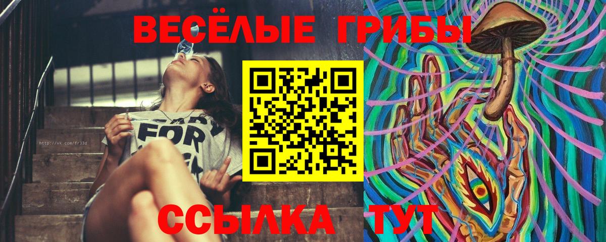Фрязино  Галлюциногенные грибы прущие грибы  Вход с VPN 