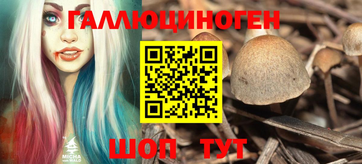 Псилоцибиновые грибы Magic Shrooms Фрязино